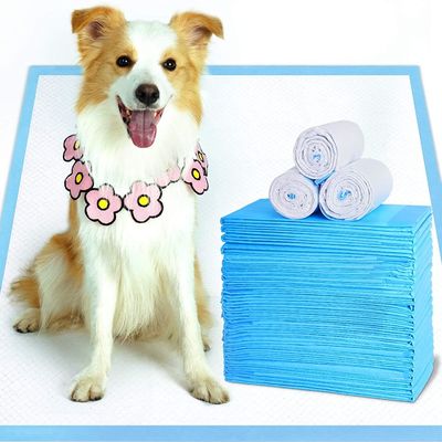 Keten Koruyucular Hastane Tek Kullanımlık Köpek Pedleri 45*50cm Tek Kullanımlık Alt Ped